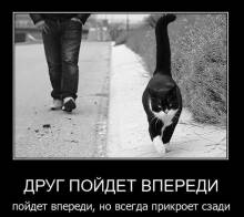   ,  ,     