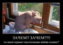 ?! ??!!!     wiskas ?