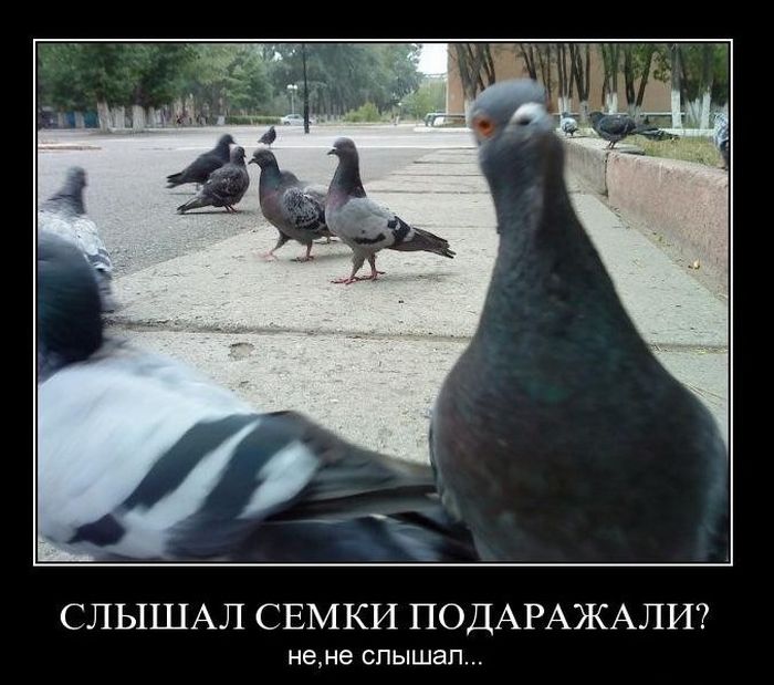   ? ,  ... 