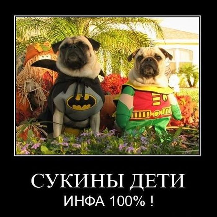  .  100%!