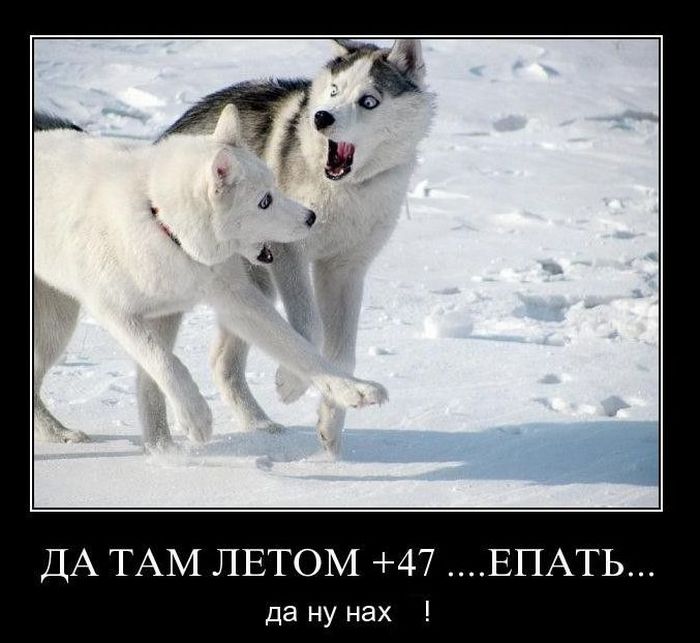    +47 .......    ! 