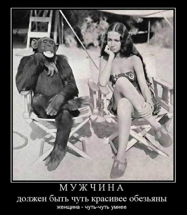      ,  - -  