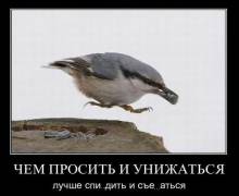    ,  ..  .. 