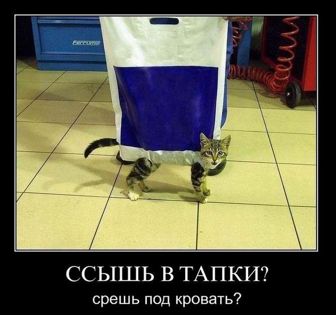   ?   ? 