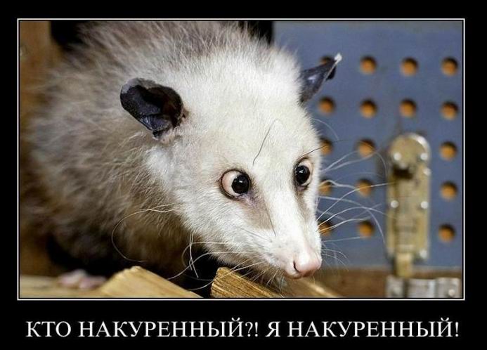  ?!  ! 