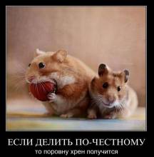   -,    