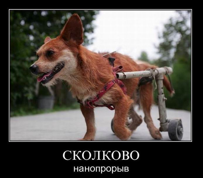 Сколково. Нанопрорыв