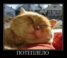Потеплело 