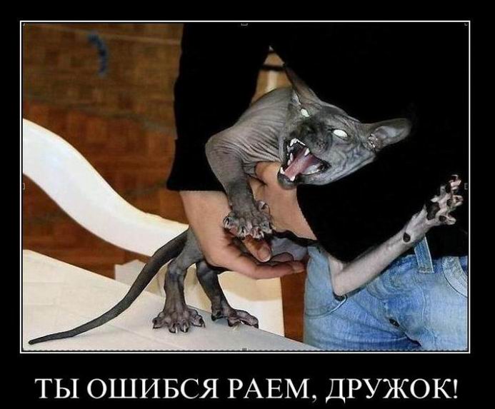   , ! 