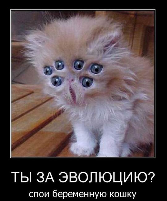   ?    