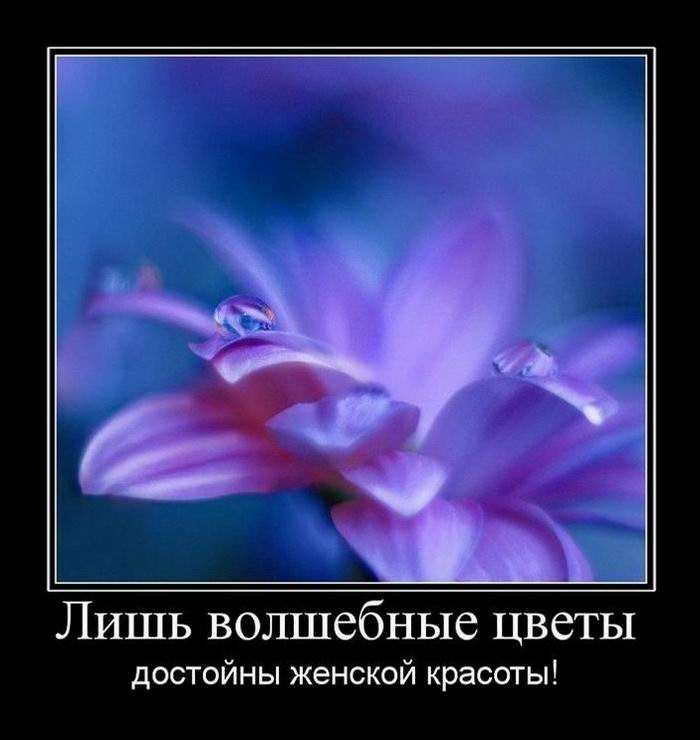      ! 
