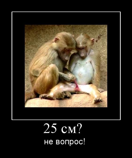 25 ?  ! 