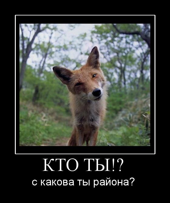  !?    ? 