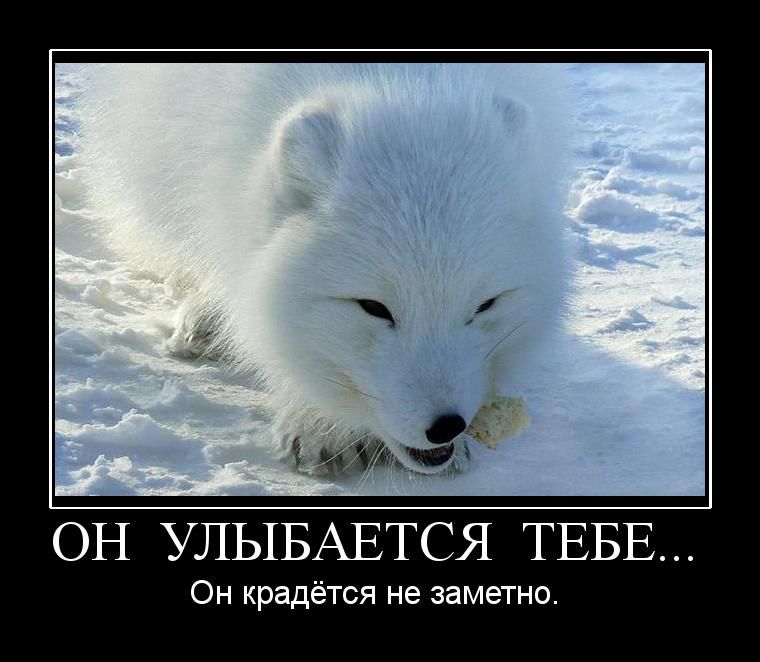   ...    . 