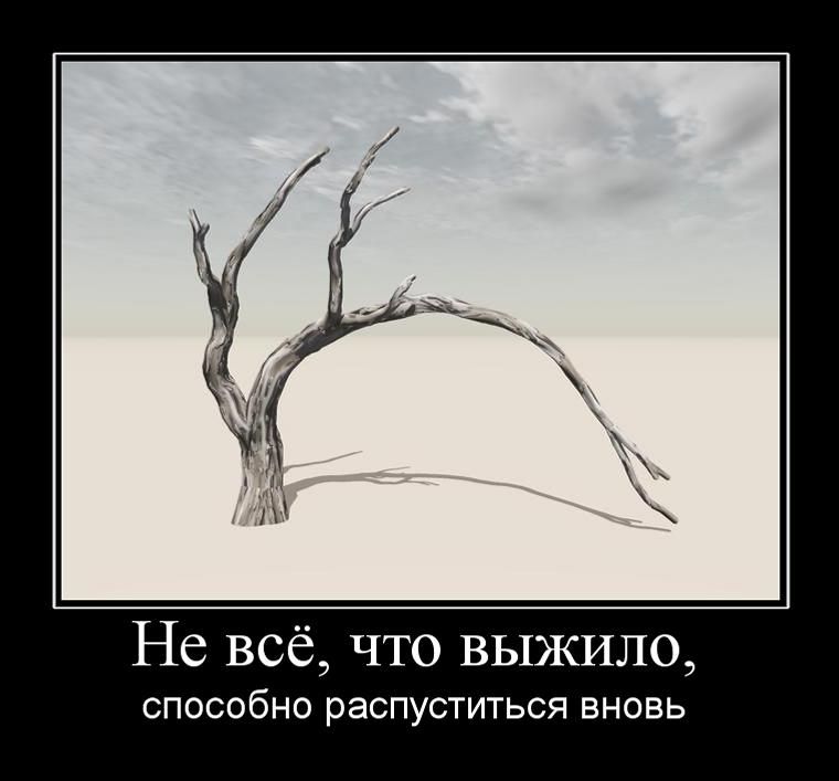  ,  ,    