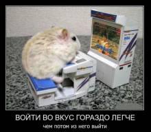     ,      