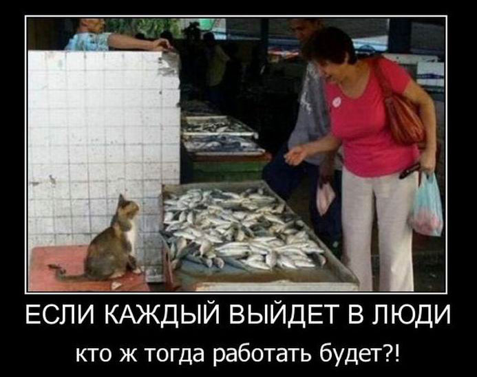     ,     ?! 