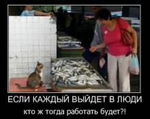     ,     ?! 