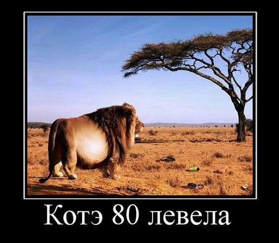  80  