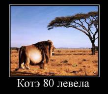  80  