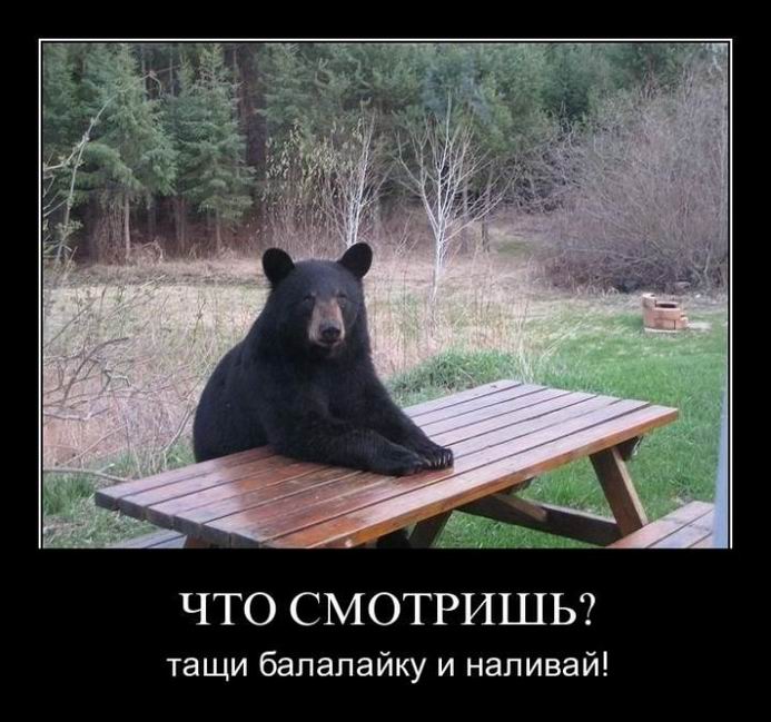  ?    ! 