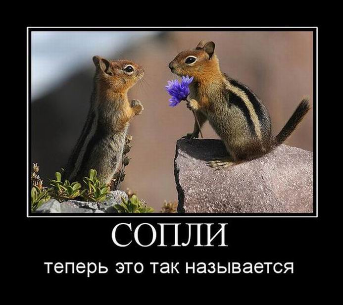 Сопли. Теперь это так называется 