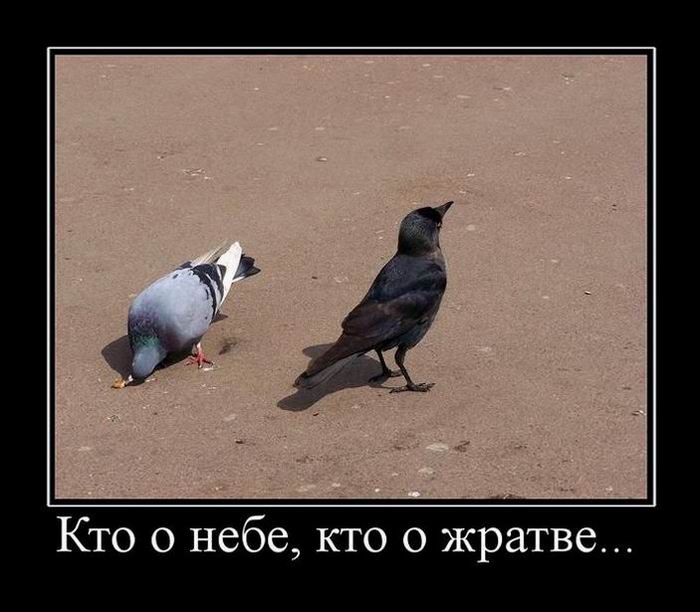   ,   ... 