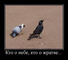   ,   ... 