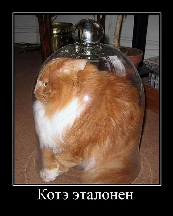 Котэ эталонен 