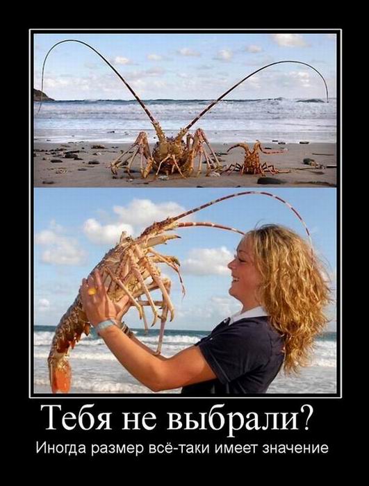   ?   -   