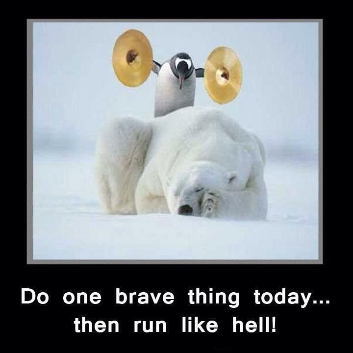 Do one brave today...