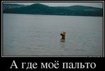  ,  ? 