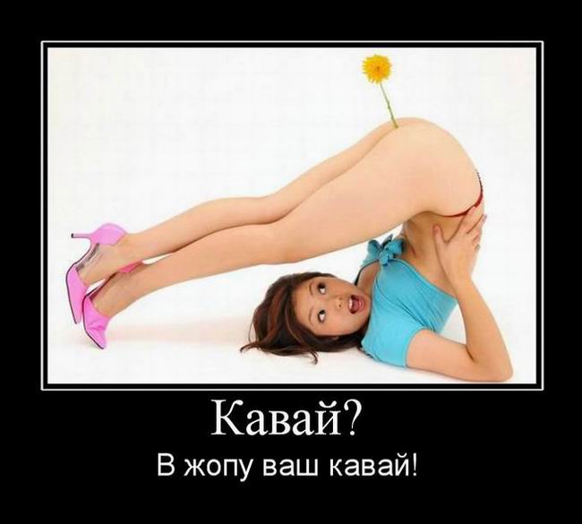 ?    ! 