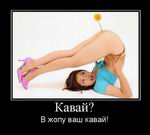 ?    ! 