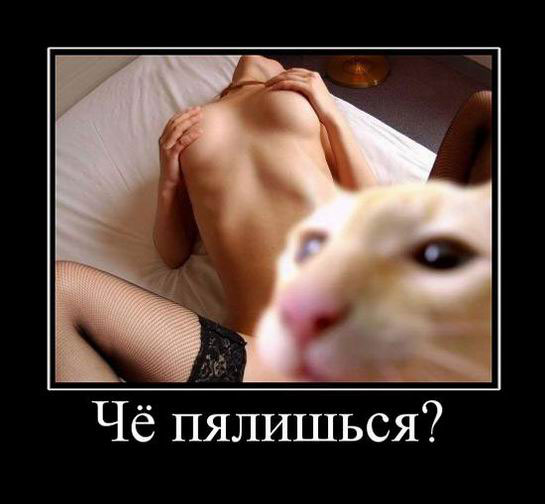׸ ? 
