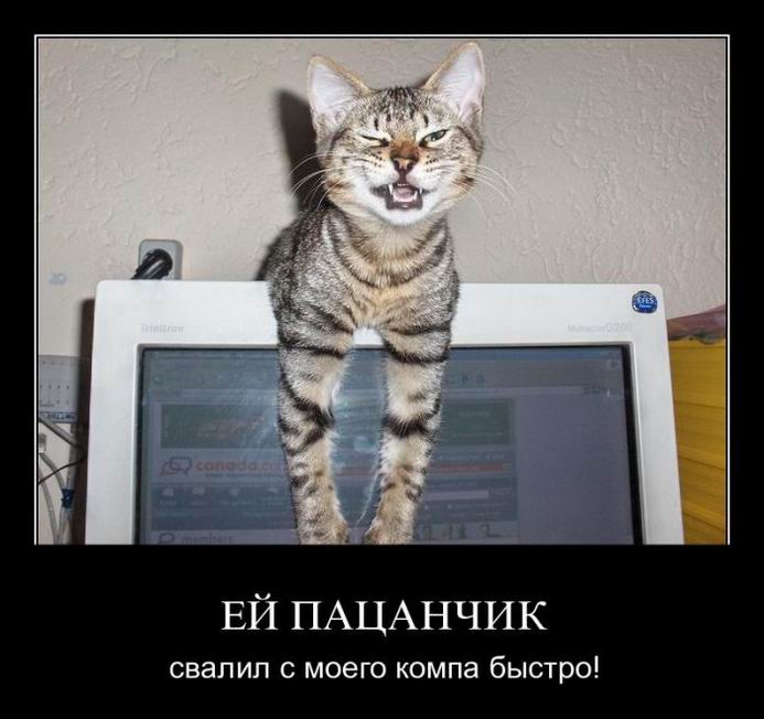  ,     ! 