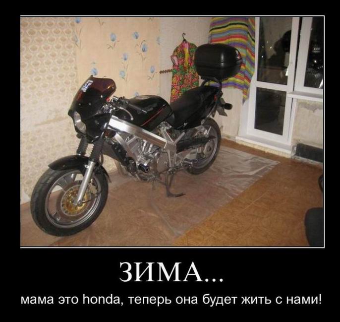 ...   honda,      ! 