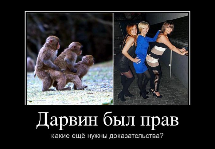   ,    ? 