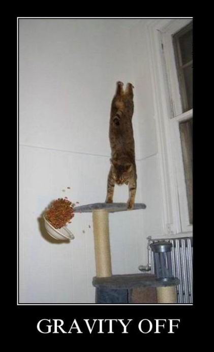 Gravity off