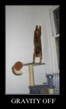 Gravity off
