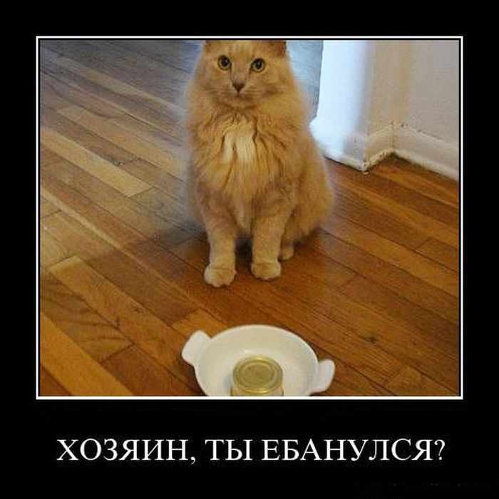 ,  ? 