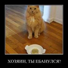 ,  ? 