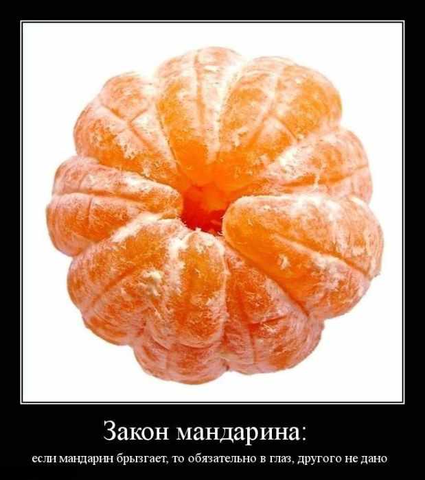 Закон мандарина: если мандарин брызгает, то обязательно в глаз, другого не дано 