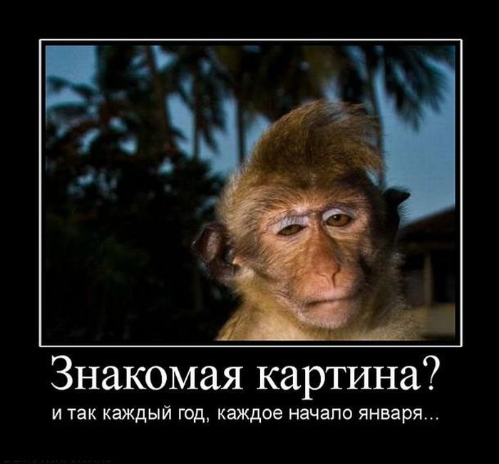  ?    ,   ...