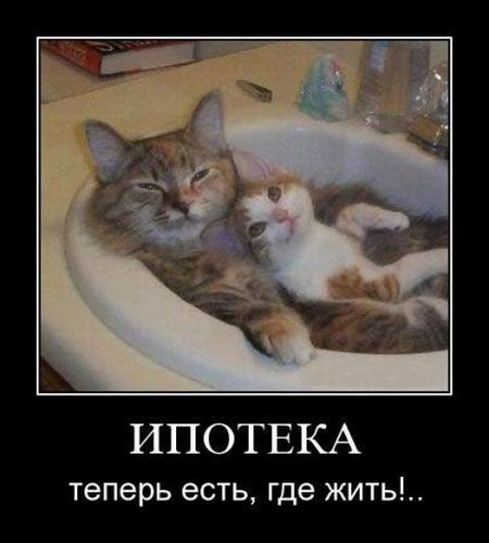   ,  !.. 