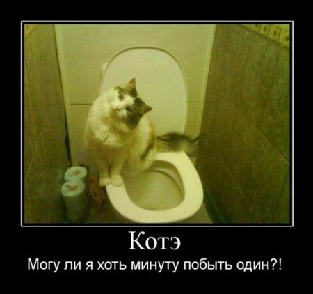.       ?! 