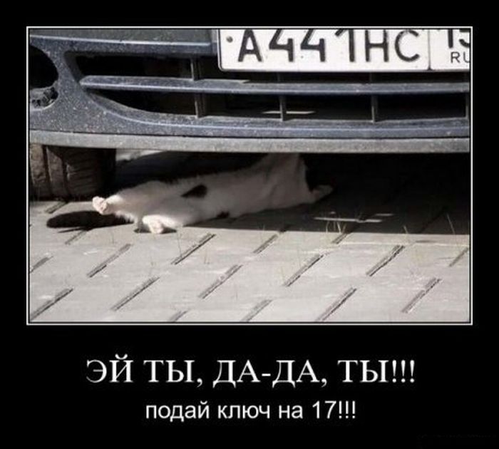  , -, !!!    17!!! 