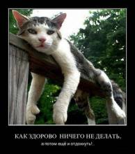     ,     !.. 