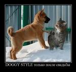 Doggy style.    
