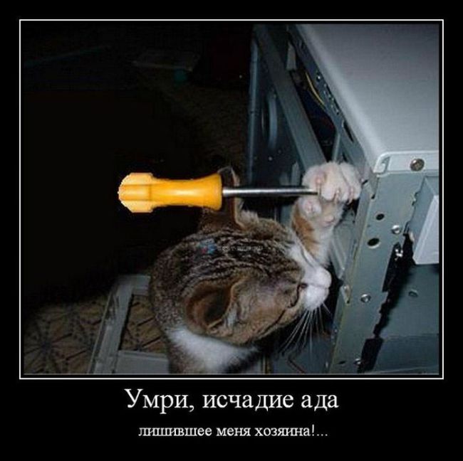 ,  ,   !... 